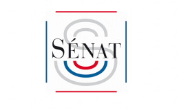 Sénat Thumbnail
